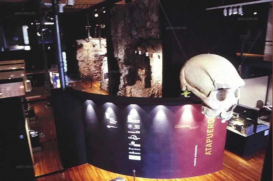 Portada de ATAPUERCA: NUESTROS ANTECESORES