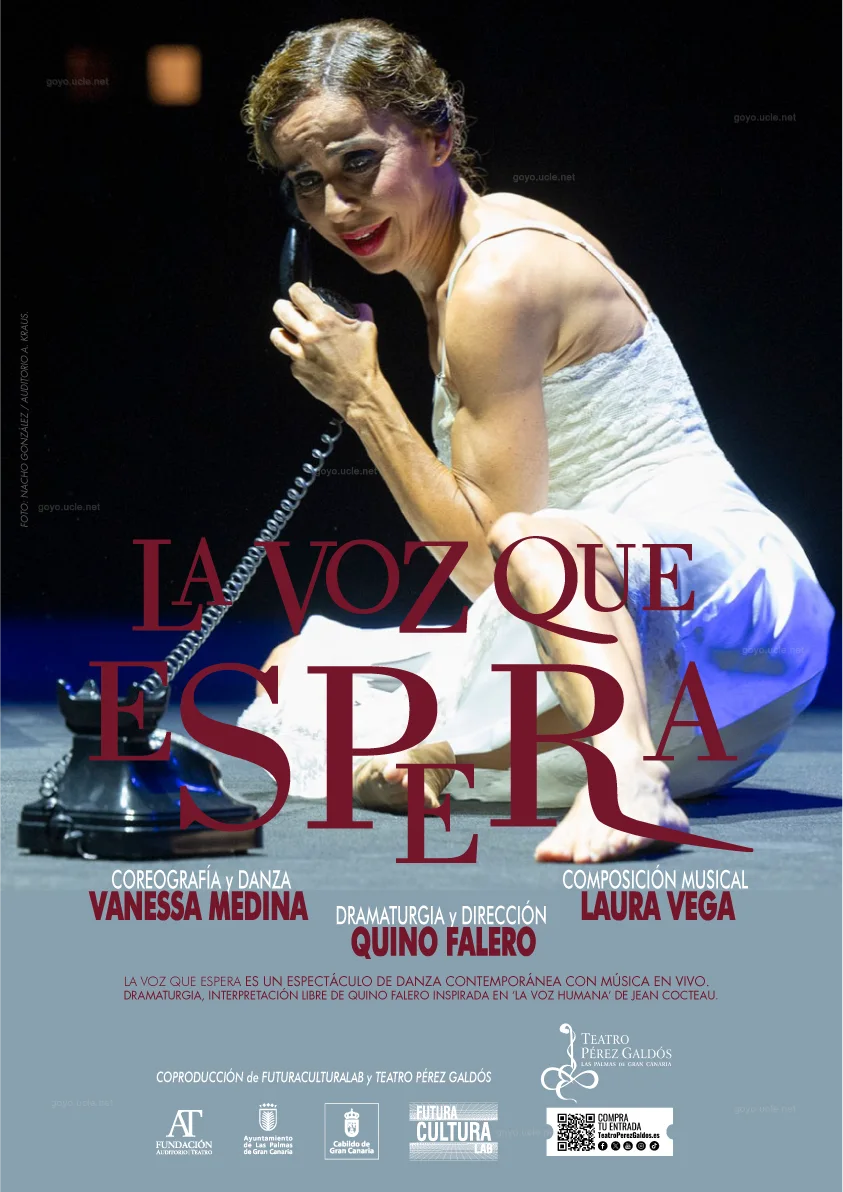 Portada de LA VOZ QUE ESPERA