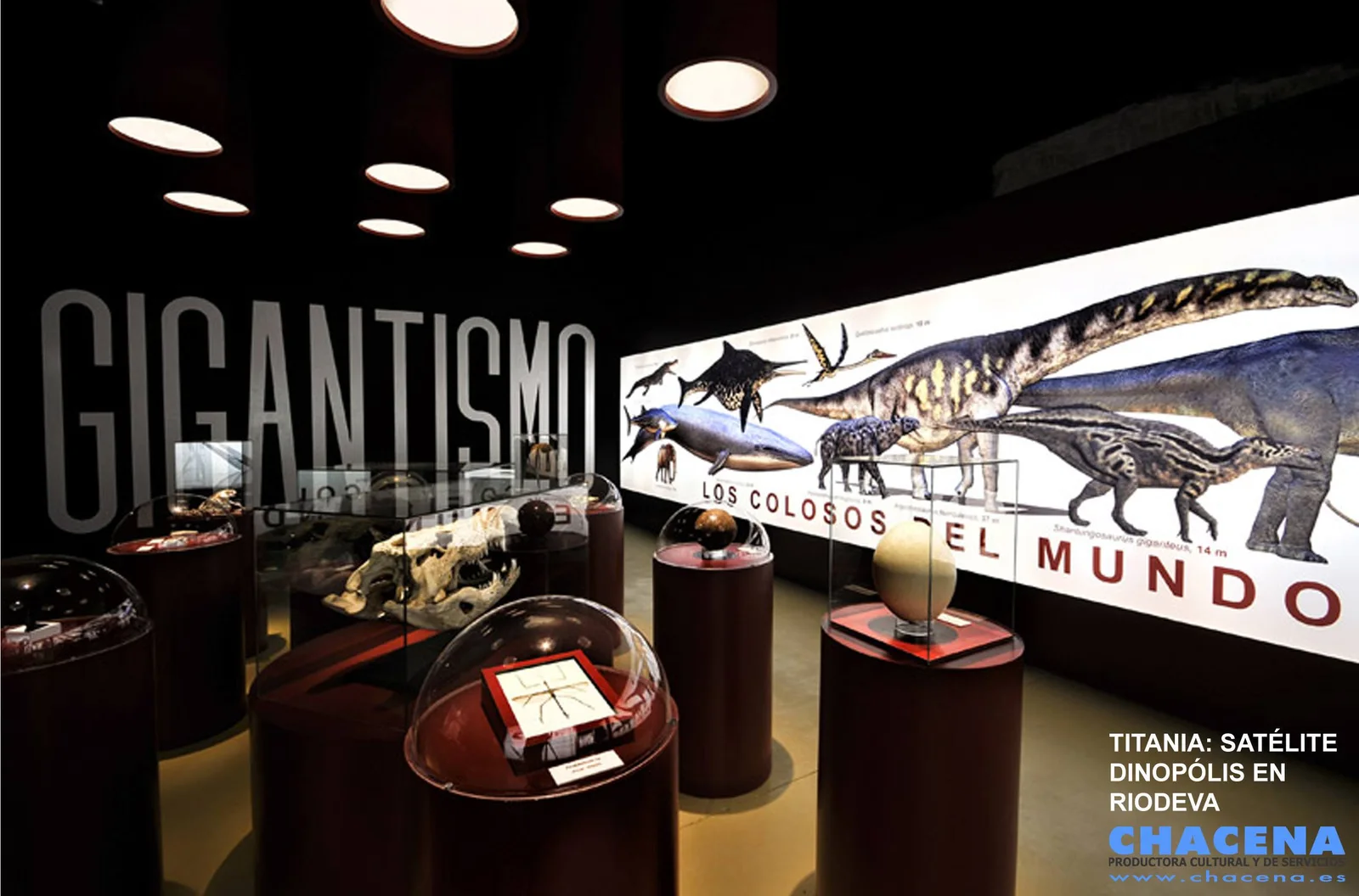 Portada de TITANIA: CENTRO DE INTERPRETACIÓN DEL GIGANTISMO