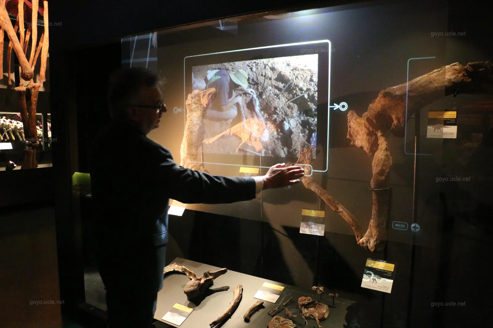 Portada de VITRINAS HOLOGRÁFICAS INTERACTIVAS, CON REALIDAD AUMENTADA