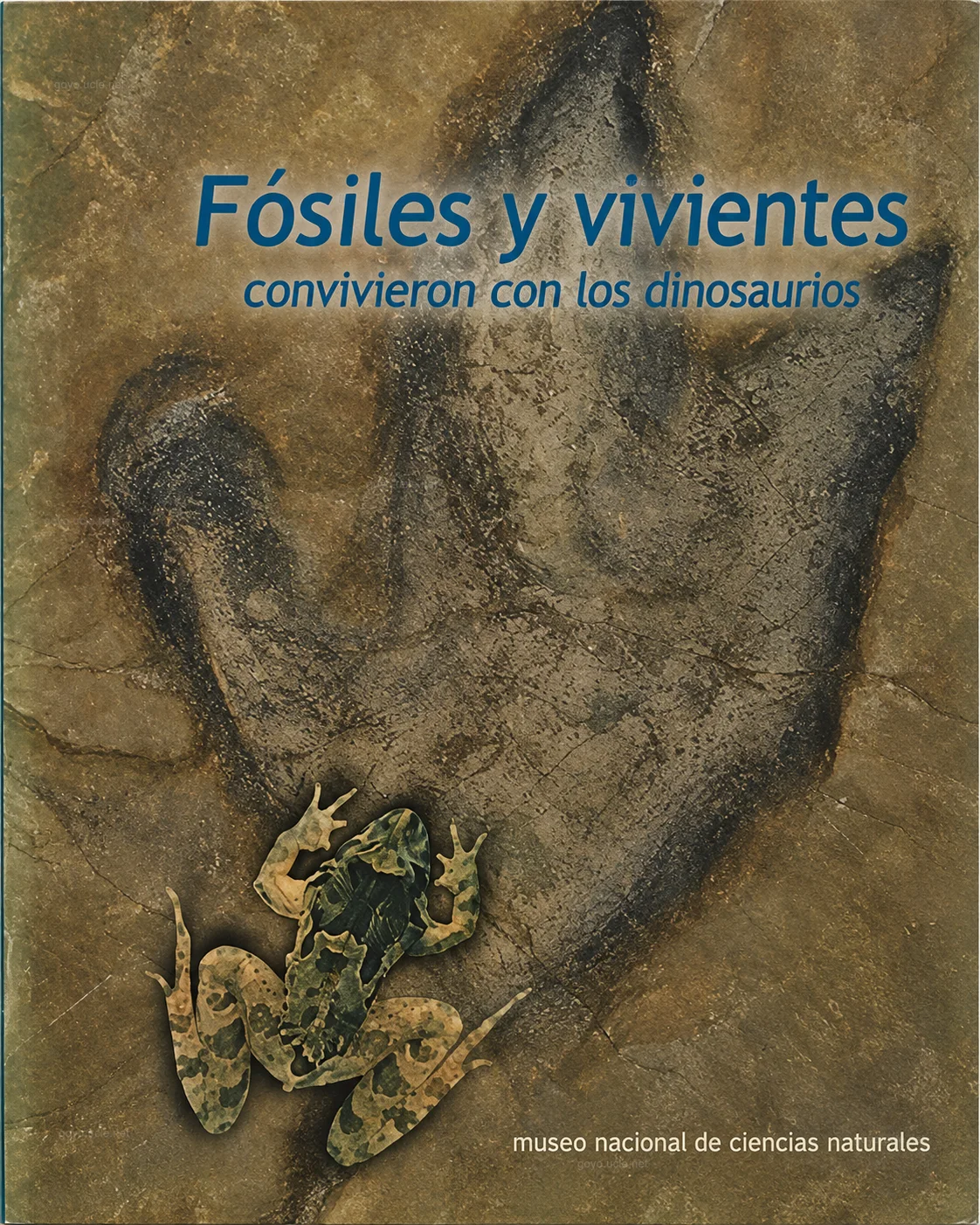 Portada de FÓSILES Y VIVIENTES CONVIVIERON CON LOS DINOSAURIOS